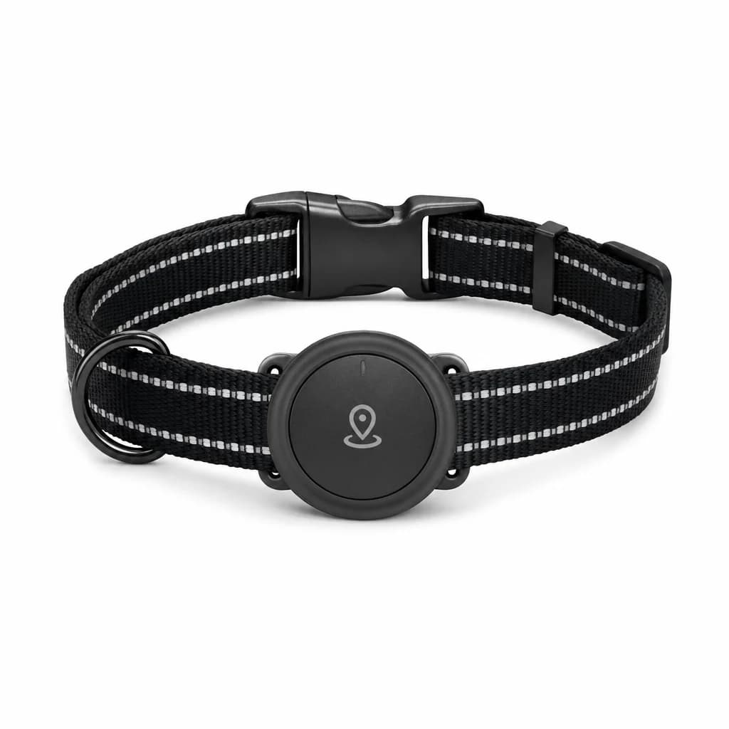 Scout GPS Collar — studio packshot