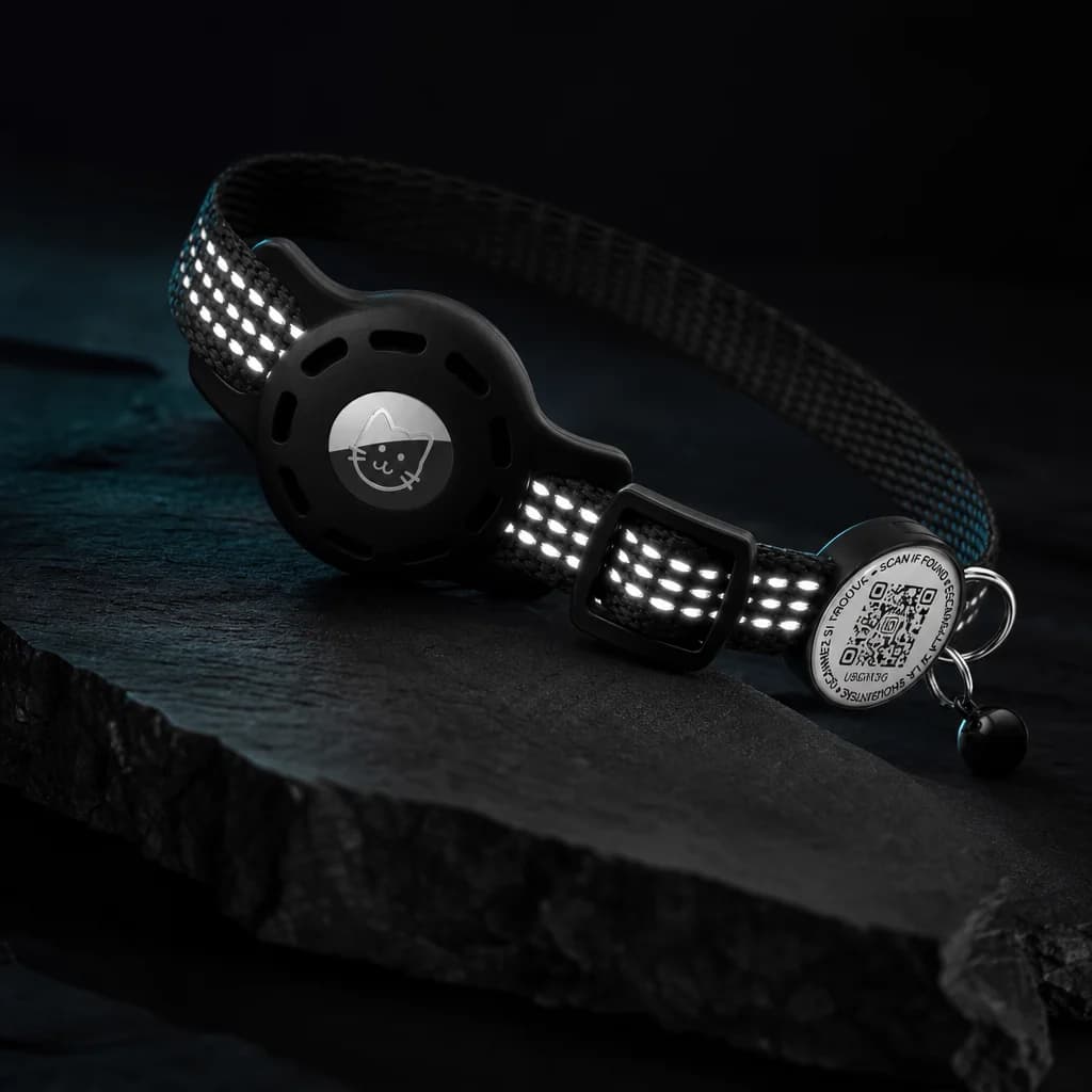 Scout GPS Collar 4